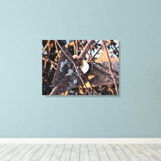 Toile Clôture abandonnée (Insitu (Plancher de Bois))