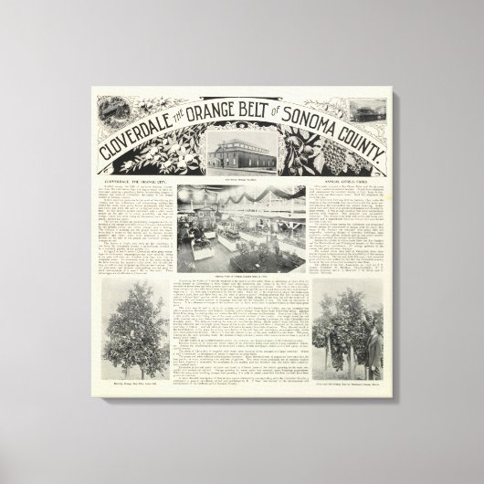 Toile Cloverdale, Californie (Recto)