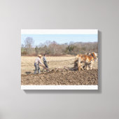 Toile Clydesdales (Recto)