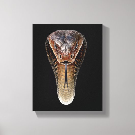 Toile Cobra royal (Recto)
