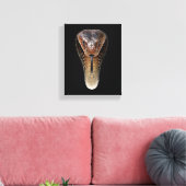 Toile Cobra royal (Insitu(Salon))