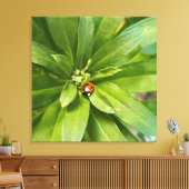 Toile Coccinelle sur fleurs (Insitu(Salon))