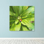 Toile Coccinelle sur fleurs (Insitu (Plancher de Bois))