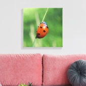 Toile Coccinelle sur une brin d'herbe (Insitu(Salon))