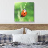 Toile Coccinelle sur une brin d'herbe (Insitu(Chambre))