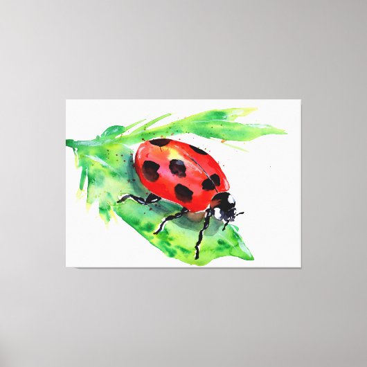 Toile Coccinelle sur une feuille verte (Recto)