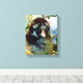 Toile Cochin argenté Laced (Insitu (Plancher de Bois))