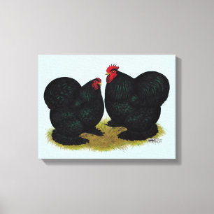 Toile Cochins Black Bantam Paire
