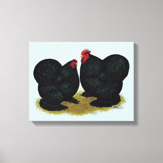Toile Cochins Black Bantam Paire (Recto)