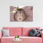 Toile Cochon de Guinée (Insitu(Salon))