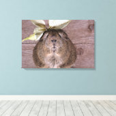 Toile Cochon de Guinée (Insitu (Plancher de Bois))