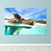 Toile Cochon de natation d'Exuma (Insitu (Plancher de Bois))