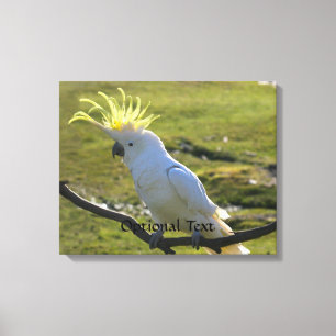 Toile Cockatoo à pois de soufre jaune australien