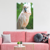Toile Cockatoo Moluccan (Insitu(Salon))