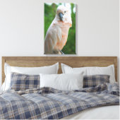 Toile Cockatoo Moluccan (Insitu(Chambre))