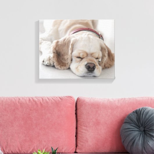 Toile Cocker spaniel chien dormir (Insitu(Salon))