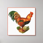 Toile Cockerel de Rooster (Recto)