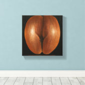 Toile Coco de Mer 2010 (Insitu (Plancher de Bois))