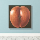 Toile Coco de Mer Maldives 2012 (Insitu (Plancher de Bois))