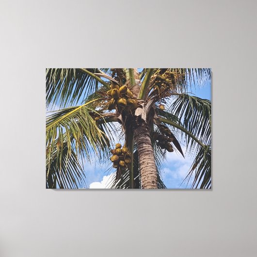 TOILE COCO PALM (Recto)
