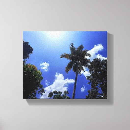 Toile Cocotier et ciel (Recto)