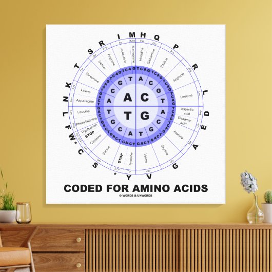 Toile Codé Pour Les Acides Aminés (Code Génétique ADN) (Insitu(Salon))