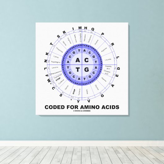 Toile Codé Pour Les Acides Aminés (Code Génétique ADN) (Insitu (Plancher de Bois))