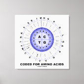 Toile Codé Pour Les Acides Aminés (Code Génétique ADN) (Recto)