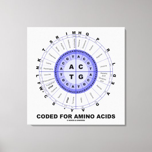 Toile Codé Pour Les Acides Aminés (Code Génétique ADN) (Recto)