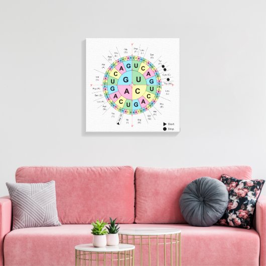 Toile Codons Amino Acids Table Code génétique ADN (Insitu(Salon))