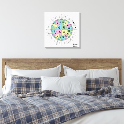 Toile Codons Amino Acids Table Code génétique ADN (Insitu(Chambre))
