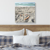 Toile Coeur des coquilles (Insitu(Chambre))