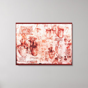 Toile Cœur et ses vaisseaux sanguins, Léonard de Vinci,