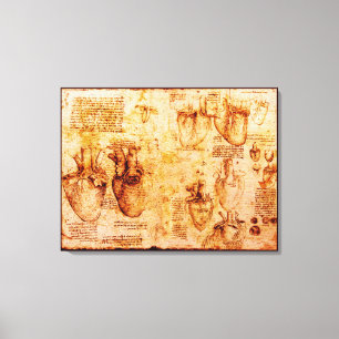 Toile Cœur et ses vaisseaux sanguins, marron