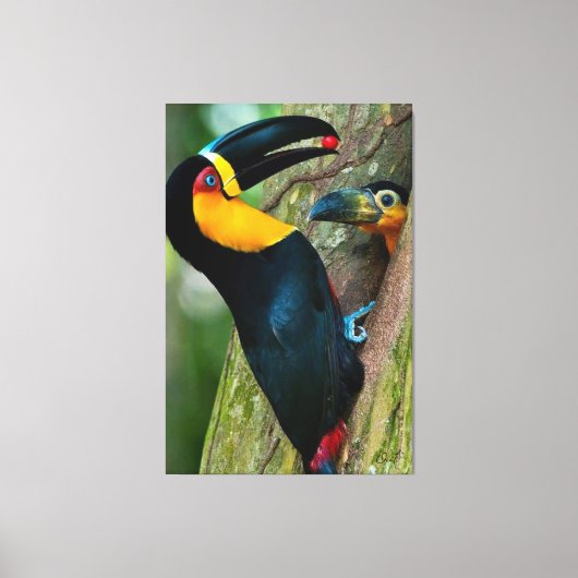 Toile Coleção Onaitsirc Infinity de quadros de tela. (Recto)