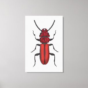 Toile Coléoptère rouge
