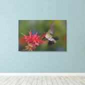 Toile Colibri à gorge rubis (Insitu (Plancher de Bois))