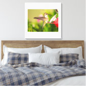 Toile Colibri à gorge rubis (Insitu(Chambre))