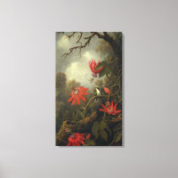 Colibri Aux Fleurs De Passion