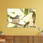 Toile Colibri femelle sur son nid (Insitu(Salon))
