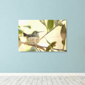 Toile Colibri femelle sur son nid (Insitu (Plancher de Bois))