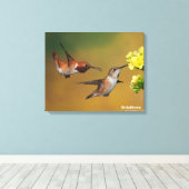 Toile Colibri roux flottant (Insitu (Plancher de Bois))