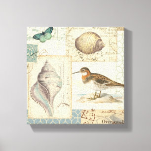 Toile Collage de coquillage