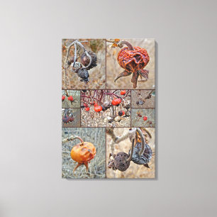 Toile Collage d'églantier