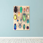 Toile Collection de coléoptères (Insitu (Plancher de Bois))