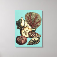 Collection de coquillages turquoise et de coraux r
