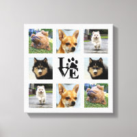 Collège de photos de chien 8 images Instagram