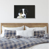 Toile Collie Collie Puppy vieille frontière de 12 semain (Insitu(Chambre))