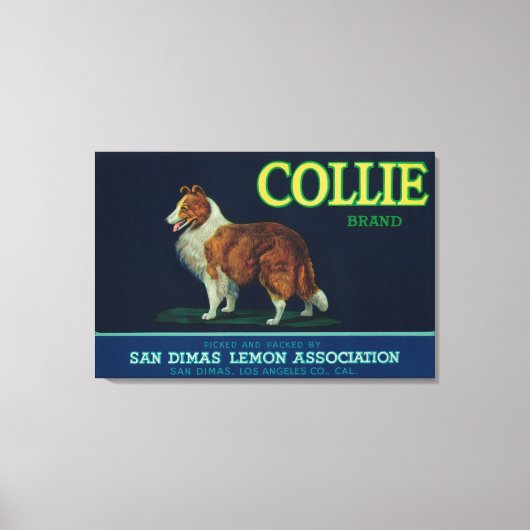 Toile Collie Lemon LabelSan Dimas, CA (Recto)