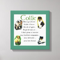 Collie Puppy Heritage of Love